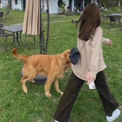 罪犯联盟第三季